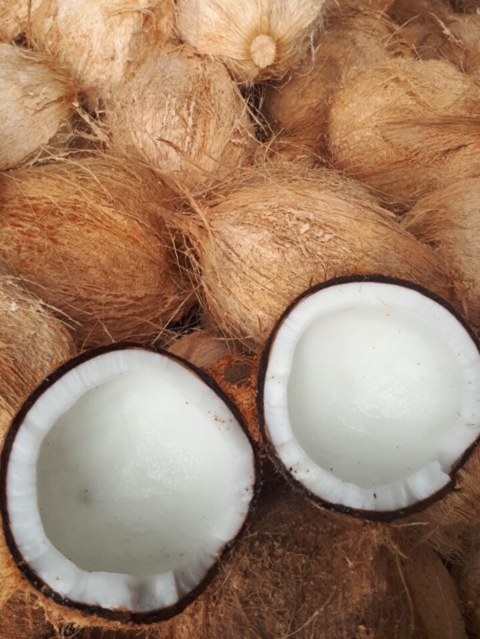 Semi Husked Coconut