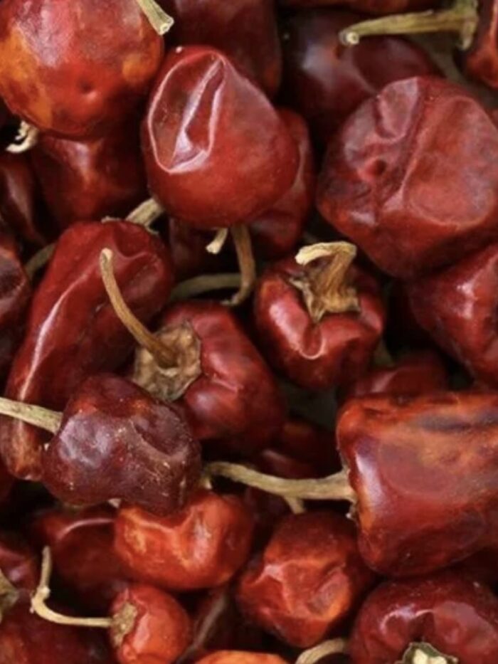 Munda Chilli